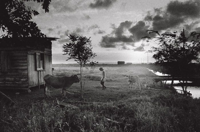 Nickerie, Surinam, 1973